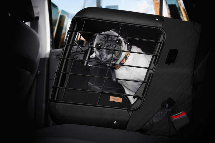 4pets Hunde-Transportbox Caree
